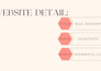 manually test your website and find bugs before your users do